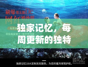 独家记忆，每周更新的独特之旅探索之旅
