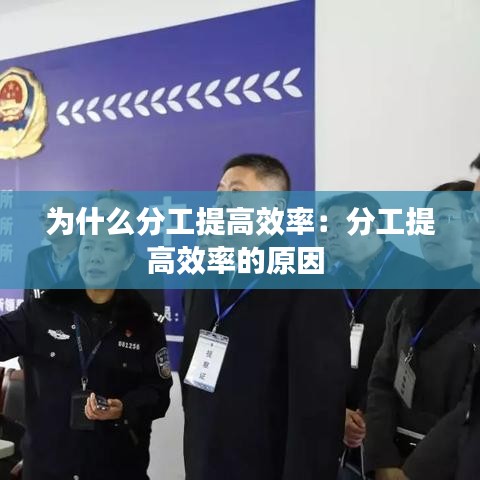 为什么分工提高效率：分工提高效率的原因 
