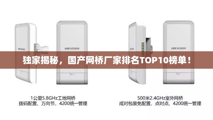 独家揭秘，国产网桥厂家排名TOP10榜单！