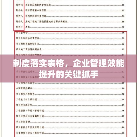 制度落实表格，企业管理效能提升的关键抓手