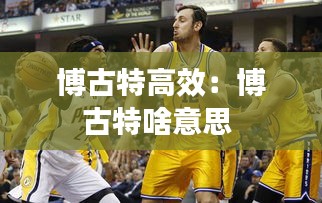 博古特高效：博古特啥意思 