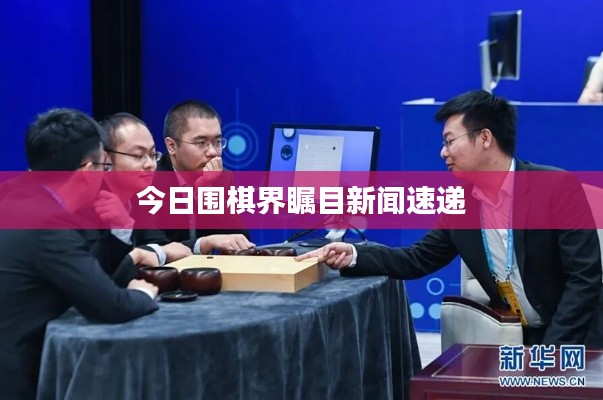 今日围棋界瞩目新闻速递