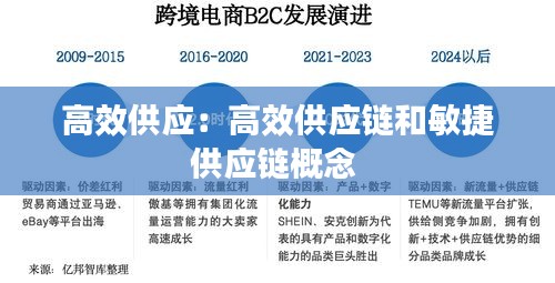 高效供应：高效供应链和敏捷供应链概念 