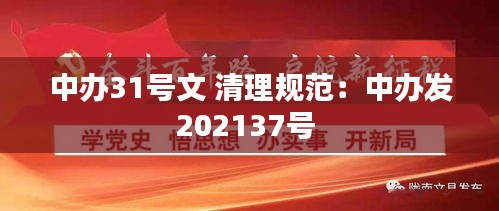 中办31号文 清理规范：中办发202137号 