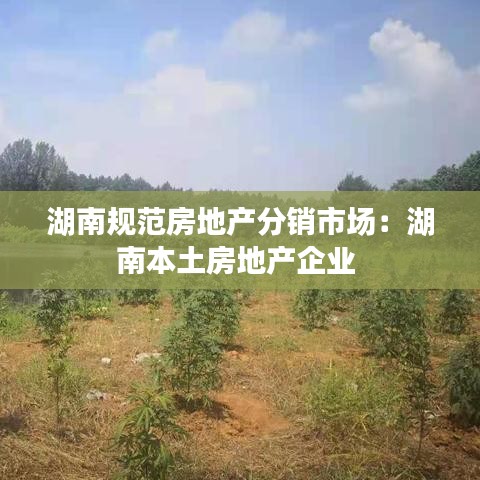 湖南规范房地产分销市场：湖南本土房地产企业 