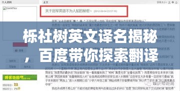 栎社树英文译名揭秘，百度带你探索翻译奥秘！