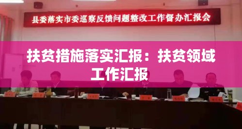扶贫措施落实汇报：扶贫领域工作汇报 