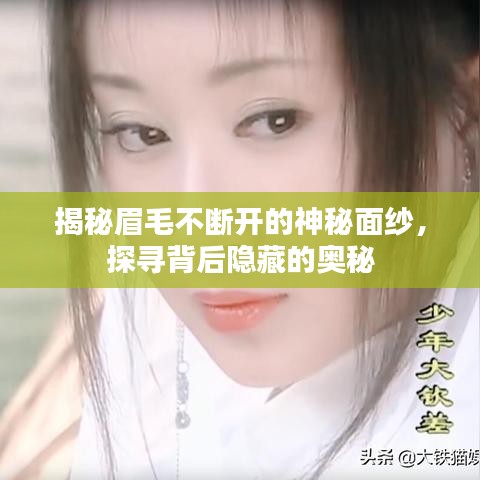 揭秘眉毛不断开的神秘面纱，探寻背后隐藏的奥秘