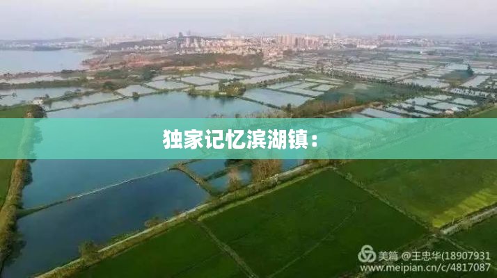 鸟惊鱼骇 第2页