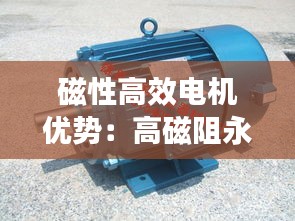 磁性高效电机优势：高磁阻永磁电机 