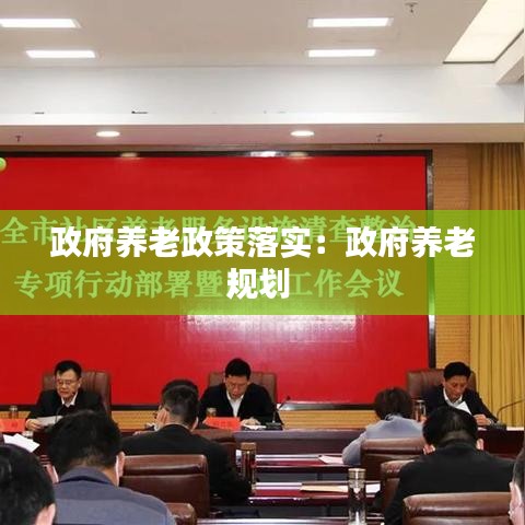 政府养老政策落实：政府养老规划 