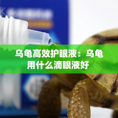 乌龟高效护眼液：乌龟用什么滴眼液好 