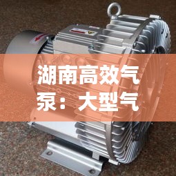 湖南高效气泵：大型气泵 