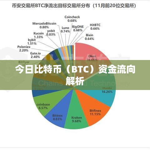 今日比特币（BTC）资金流向解析