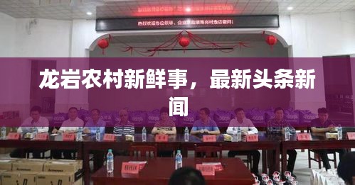 龙岩农村新鲜事，最新头条新闻