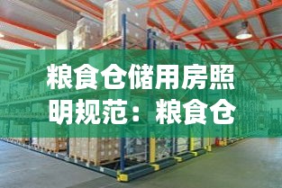 粮食仓储用房照明规范：粮食仓储库建设标准 