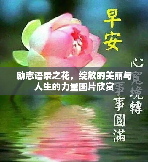 励志语录之花，绽放的美丽与人生的力量图片欣赏