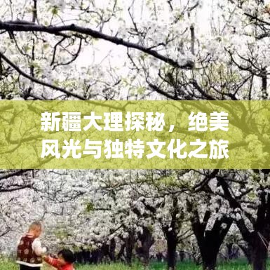新疆大理探秘，绝美风光与独特文化之旅