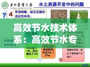 高效节水技术体系：高效节水专项施工方案 