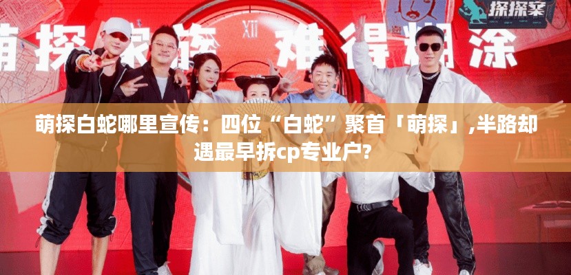萌探白蛇哪里宣传：四位“白蛇”聚首「萌探」,半路却遇最早拆cp专业户? 