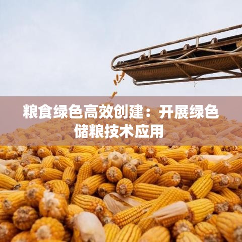 粮食绿色高效创建：开展绿色储粮技术应用 