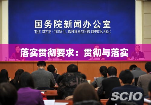 落实贯彻要求：贯彻与落实 