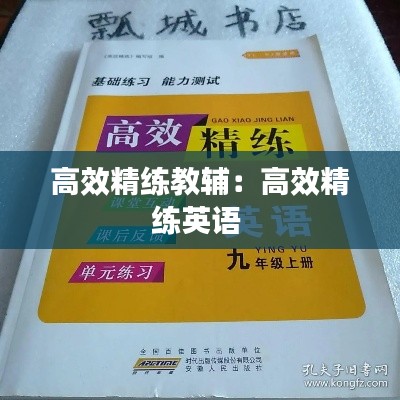 高效精练教辅：高效精练英语 