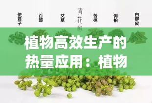 植物高效生产的热量应用：植物生产作用 