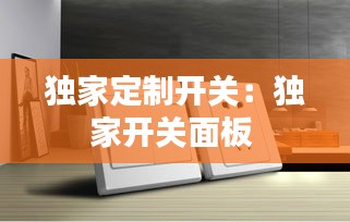 独家定制开关：独家开关面板 