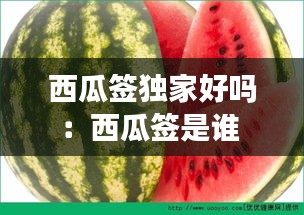西瓜签独家好吗：西瓜签是谁 