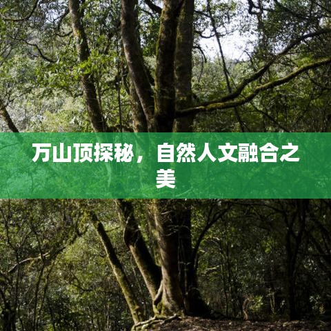 如花似玉 第2页