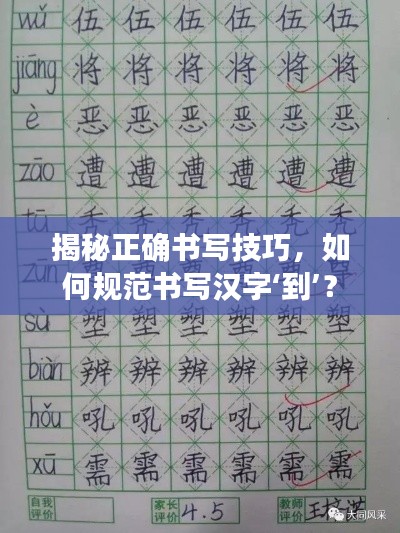 揭秘正确书写技巧，如何规范书写汉字‘到’？