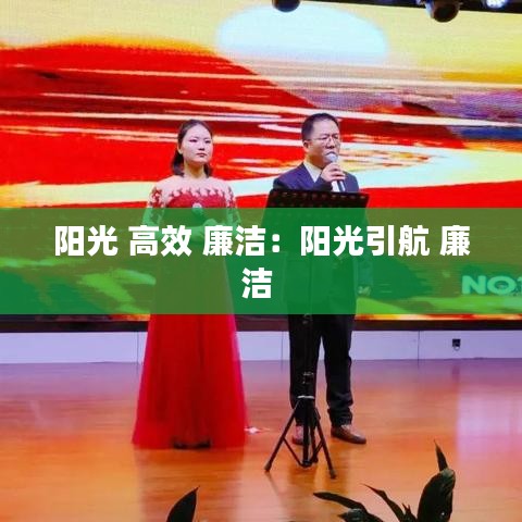 阳光 高效 廉洁：阳光引航 廉洁 
