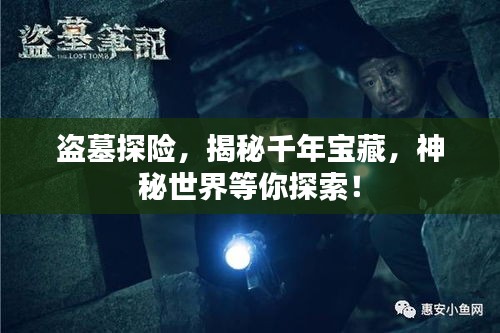盗墓探险，揭秘千年宝藏，神秘世界等你探索！
