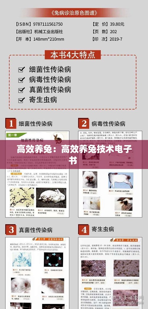 高效养兔：高效养兔技术电子书 