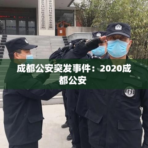成都公安突发事件：2020成都公安 