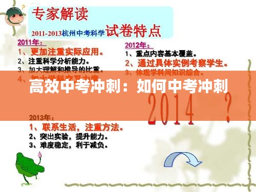 高效中考冲刺：如何中考冲刺 