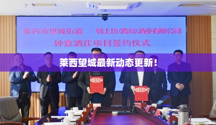 莱西望城最新动态更新！