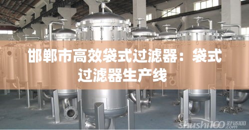 邯郸市高效袋式过滤器：袋式过滤器生产线 