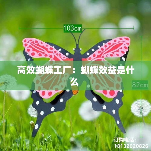 高效蝴蝶工厂：蝴蝶效益是什么 