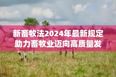 新畜牧法2024年最新规定助力畜牧业迈向高质量发展新篇章