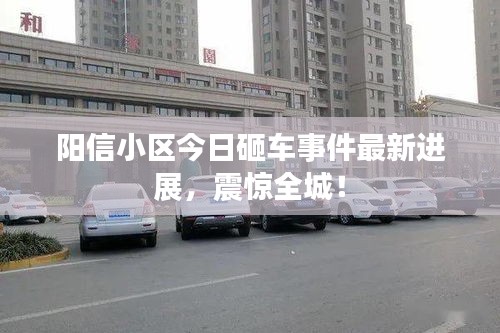 阳信小区今日砸车事件最新进展，震惊全城！