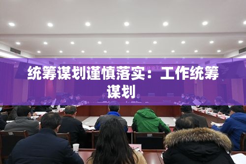 统筹谋划谨慎落实：工作统筹谋划 