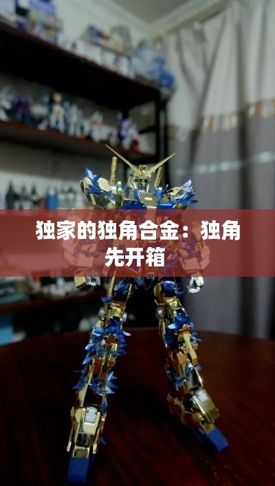 独家的独角合金：独角先开箱 