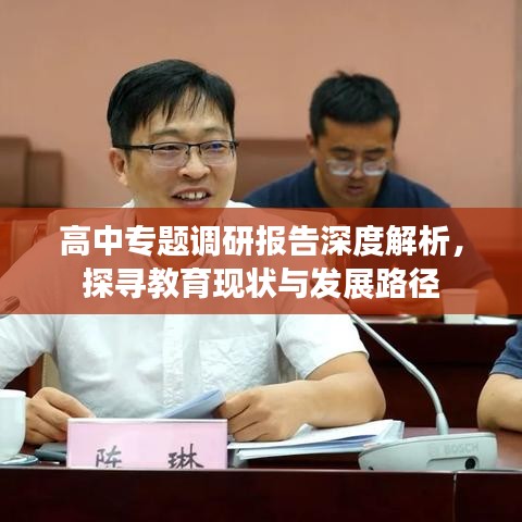 高中专题调研报告深度解析，探寻教育现状与发展路径
