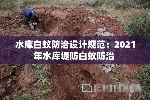 水库白蚁防治设计规范：2021年水库堤防白蚁防治 