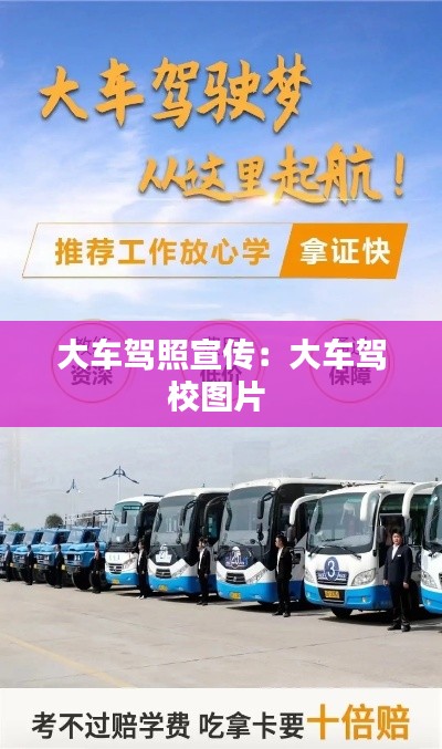 大车驾照宣传：大车驾校图片 