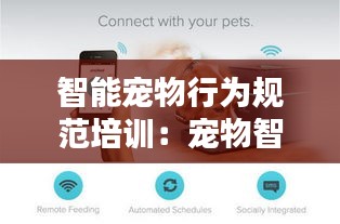 智能宠物行为规范培训：宠物智能产品有哪些 
