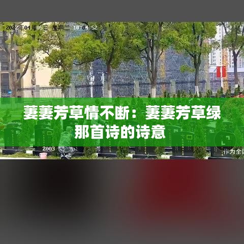 萋萋芳草情不断：萋萋芳草绿那首诗的诗意 