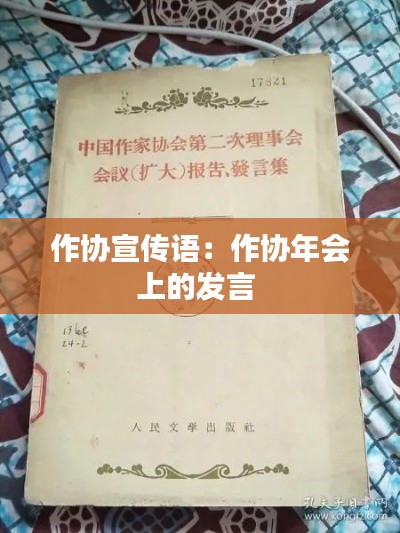 作协宣传语：作协年会上的发言 